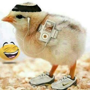 Meet your Posher, Geronimo